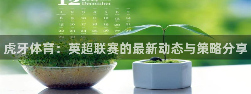 绿茵体育足球免费直播：虎牙体育：英超联赛的最新动态与策略分享