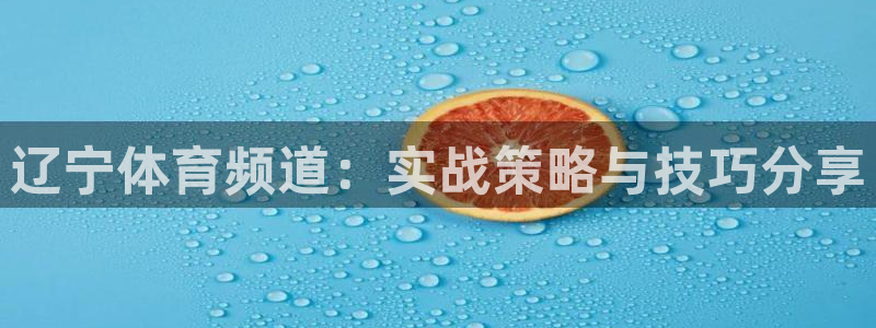 绿茵直播足球直播：辽宁体育频道：实战策略与技巧分享