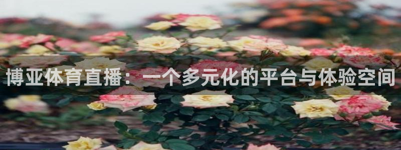 绿茵直播体育在线观看高清：博亚体育直播：一个多元化的平台与体验空间
