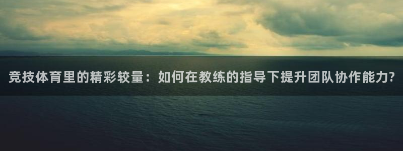 绿茵直播在线观看：竞技体育里的精彩较量：如何在教练的指导下提升团队协作能力?