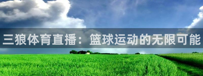 绿茵体育直播9939：三狼体育直播：篮球运动的无限可能
