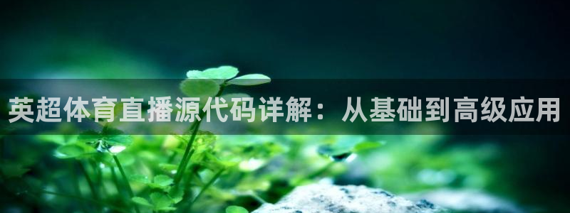 绿茵足球吧：英超体育直播源代码详解：从基础到高级应用