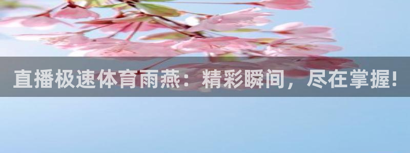 [足球]绿茵魔术师：直播极速体育雨燕：精彩瞬间，尽在掌握!
