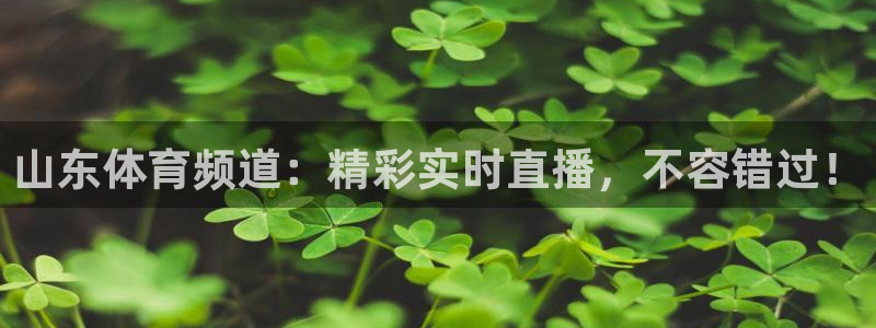 足球比赛绿茵直播：山东体育频道：精彩实时直播，不容错过！