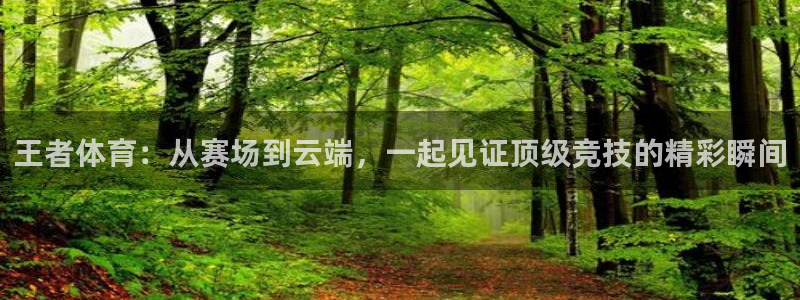 绿茵直播：王者体育：从赛场到云端，一起见证顶级竞技的精彩瞬间