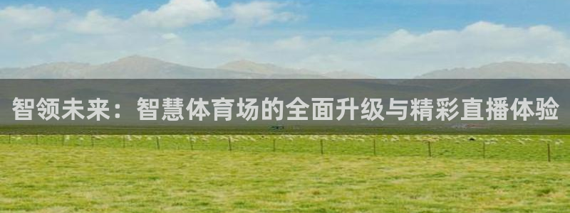 足球绿茵直播免费观看：智领未来：智慧体育场的全面升级与精彩直播体验