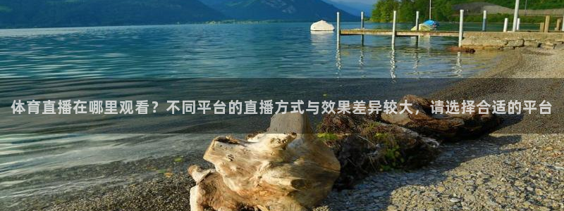 nba绿茵免费直播：体育直播在哪里观看？不同平台的直播方式与效果差异较大，请选择合适的平台