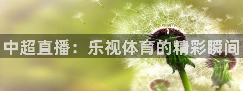 绿茵足球直播在线观看：中超直播：乐视体育的精彩瞬间