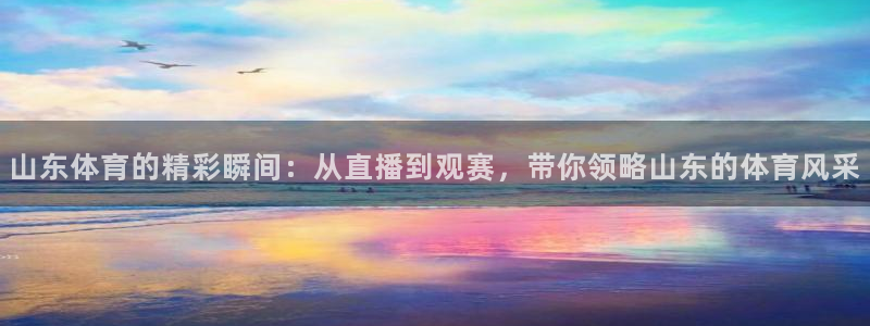 足球之绿茵球王：山东体育的精彩瞬间：从直播到观赛，带你领略山东的体育风采