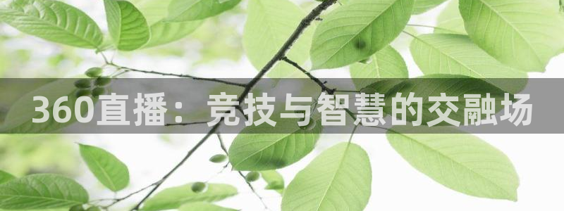 绿茵体育直播cba：360直播：竞技与智慧的交融场