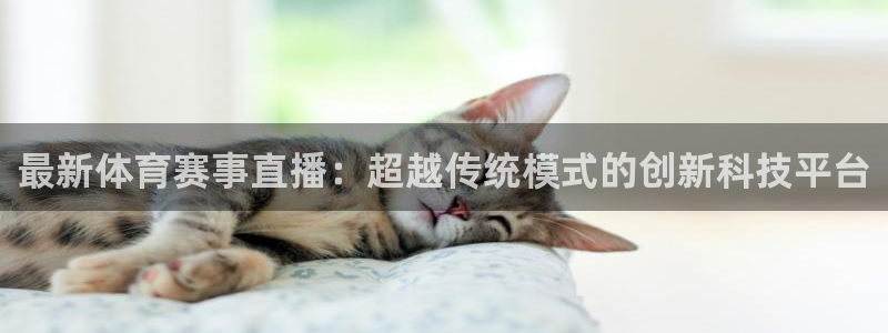 绿茵直播体育免费观看lyzb：最新体育赛事直播：超越传统模式的创新科技平台