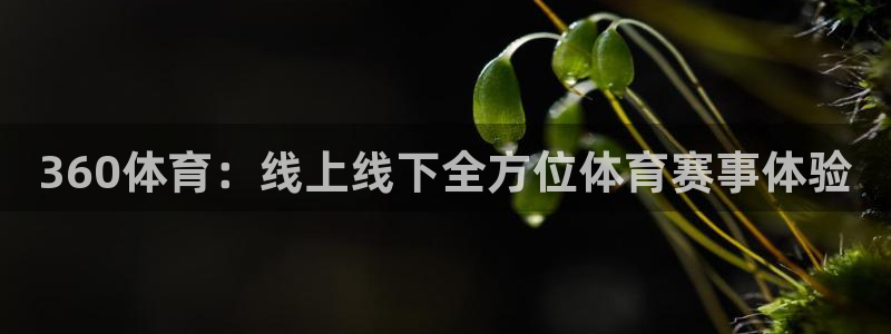 绿茵直播nba：360体育：线上线下全方位体育赛事体验