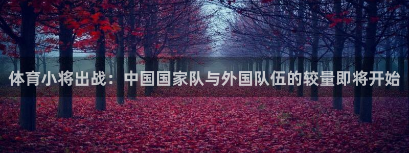 绿茵直播体育免费观看高清：体育小将出战：中国国家队与外国队伍的较量即将开始